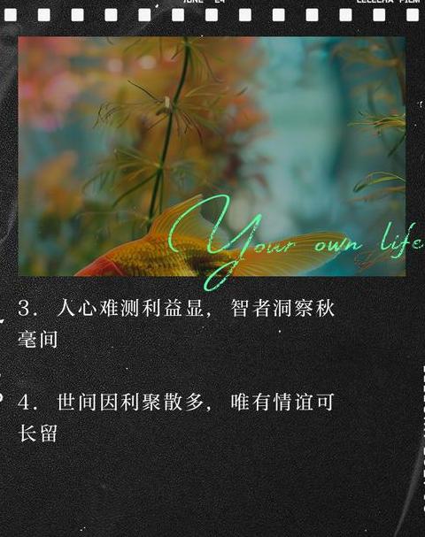 利益真谛那些经典句子的智慧解析
