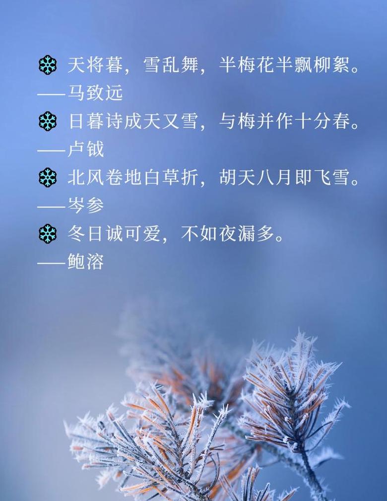 冬日浪漫雪景诗意赏析